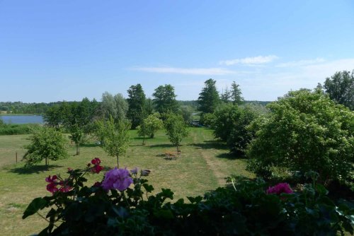 Garden from top